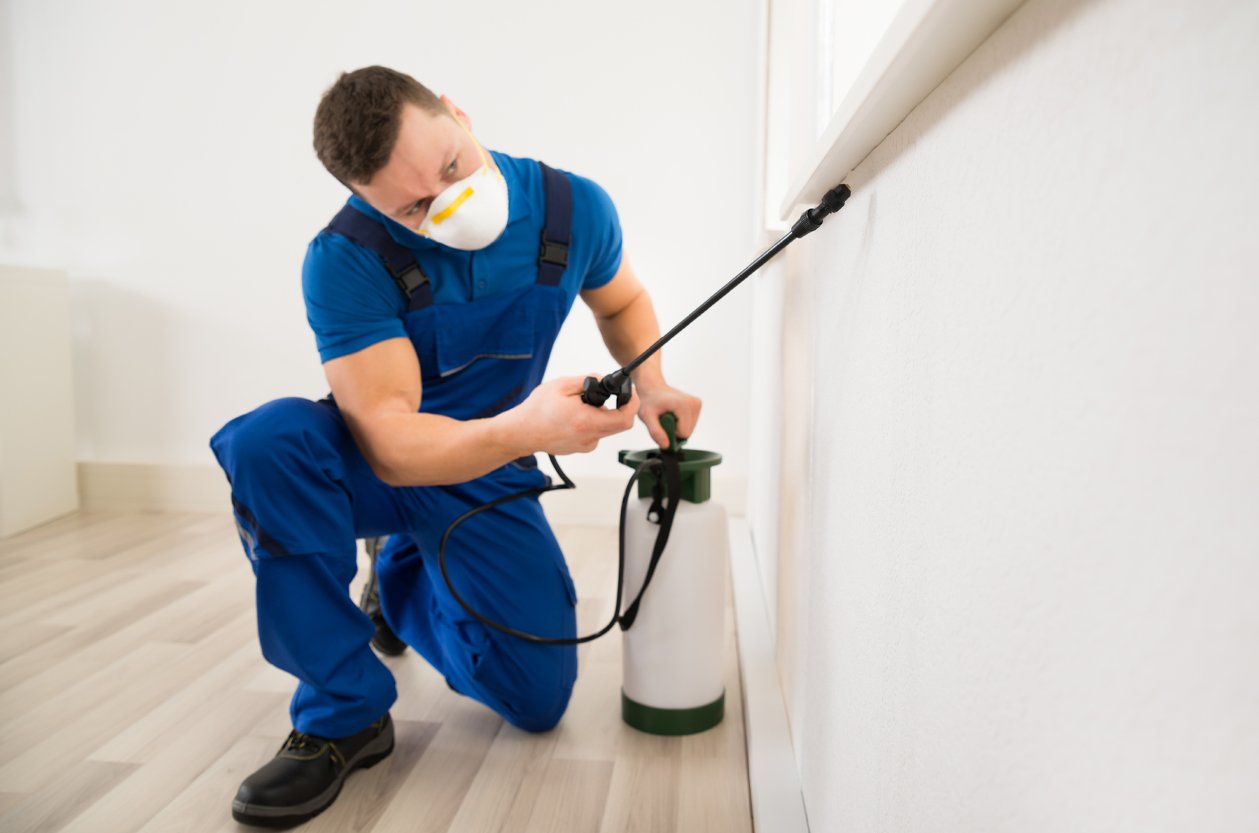 Pest Management Brisbane Sunshine Coast 